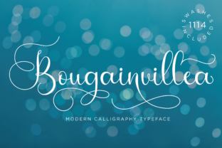 Bougainvillea Script: Elevating Digital Brand Identity