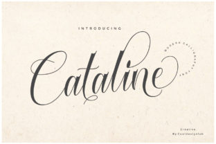 Cataline Script: A Modern Typeface for Digital Branding