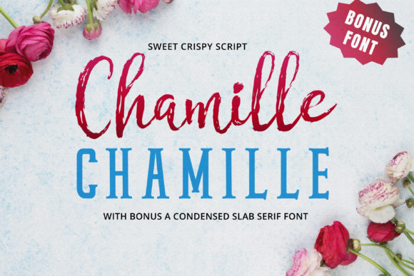 Chamille Script: A Hand-Lettered Typeface for Modern Web Design