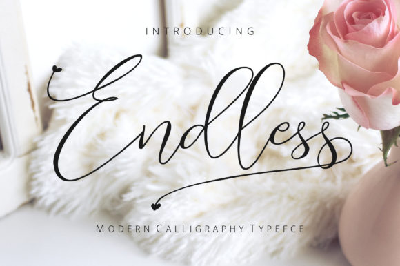 Endless Script: A Feminine Modern Typeface for Creative Branding