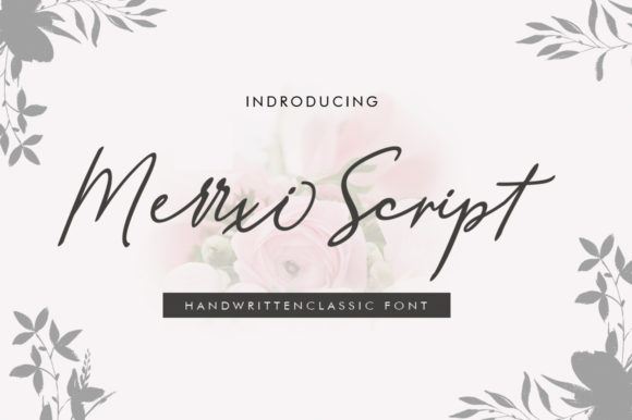 Merrxi Script Review: A Designer’s Take on Real-World Application
