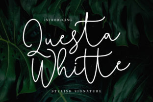 Questa Whitte Script: A Handwritten Signature Typeface Review